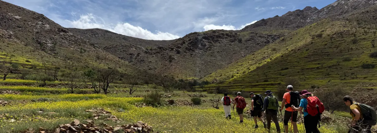 Un groupe de randonneurs traverse une vallée fleurie de l'Anti-Atlas